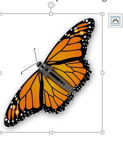 Image resizing